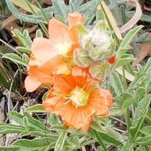 Meet your Posher, Joann